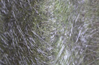 Shadoxhurst fibreglass roof work